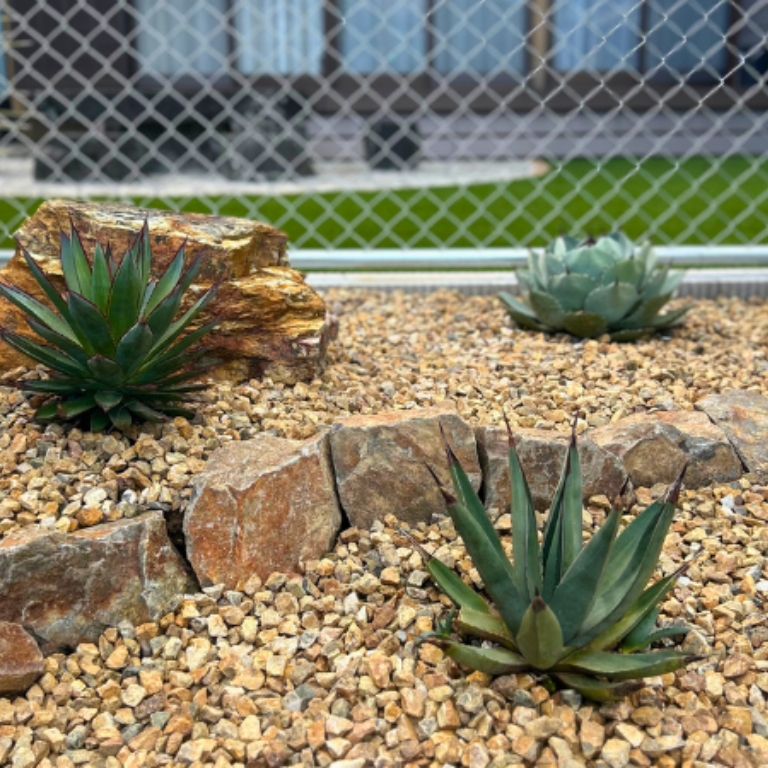 ドライガーデン