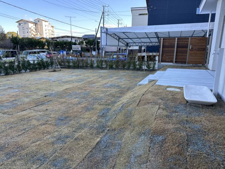 写真 2024-12-24 14 56 35